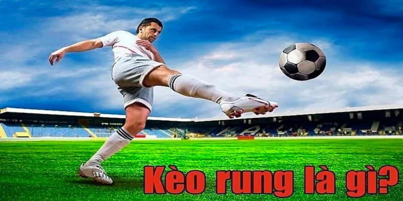 Kèo Rung Là Gì? Cách Đọc Kèo Và Kinh Nghiệm Chơi Hiệu Quả 5 Theo bạn kèo rung là gì?
