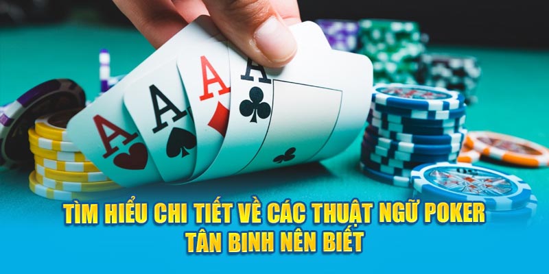 Tìm Hiểu Thuật Ngữ Poker Từ A Đến Z Cho Người Mới Bắt Đầu 6 Tìm hiểu chi tiết về các thuật ngữ Poker tân binh nên biết