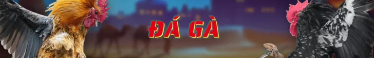 Đá gà Hello88 Đá gà Hello88